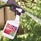 Bonide Products Bonide Systemic Spray Insect Killer Liquid 32 oz 939 - alternate 4